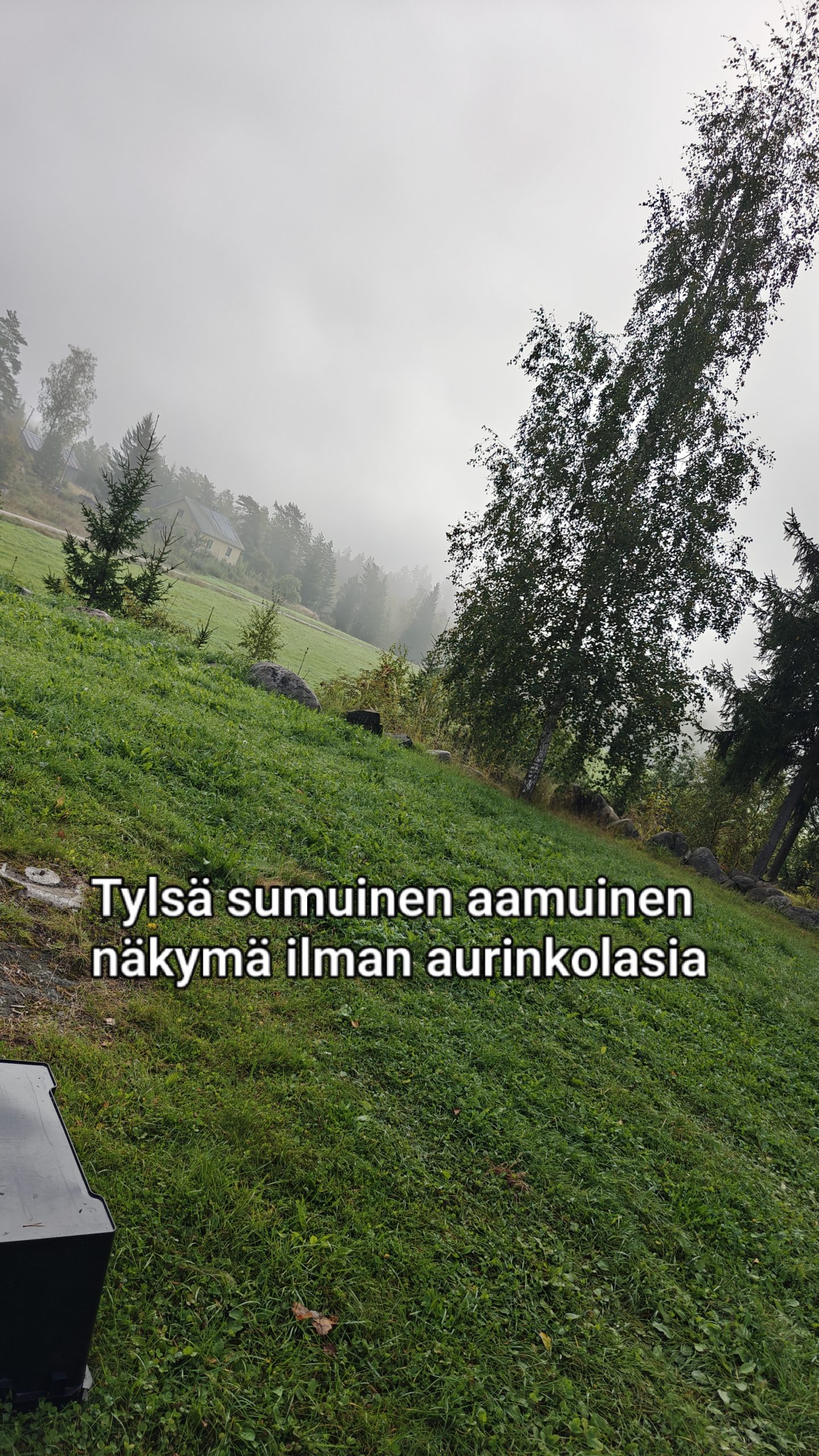 ÖKY KLASIT REALPEIJJOONI PYÖKKI - Image 6
