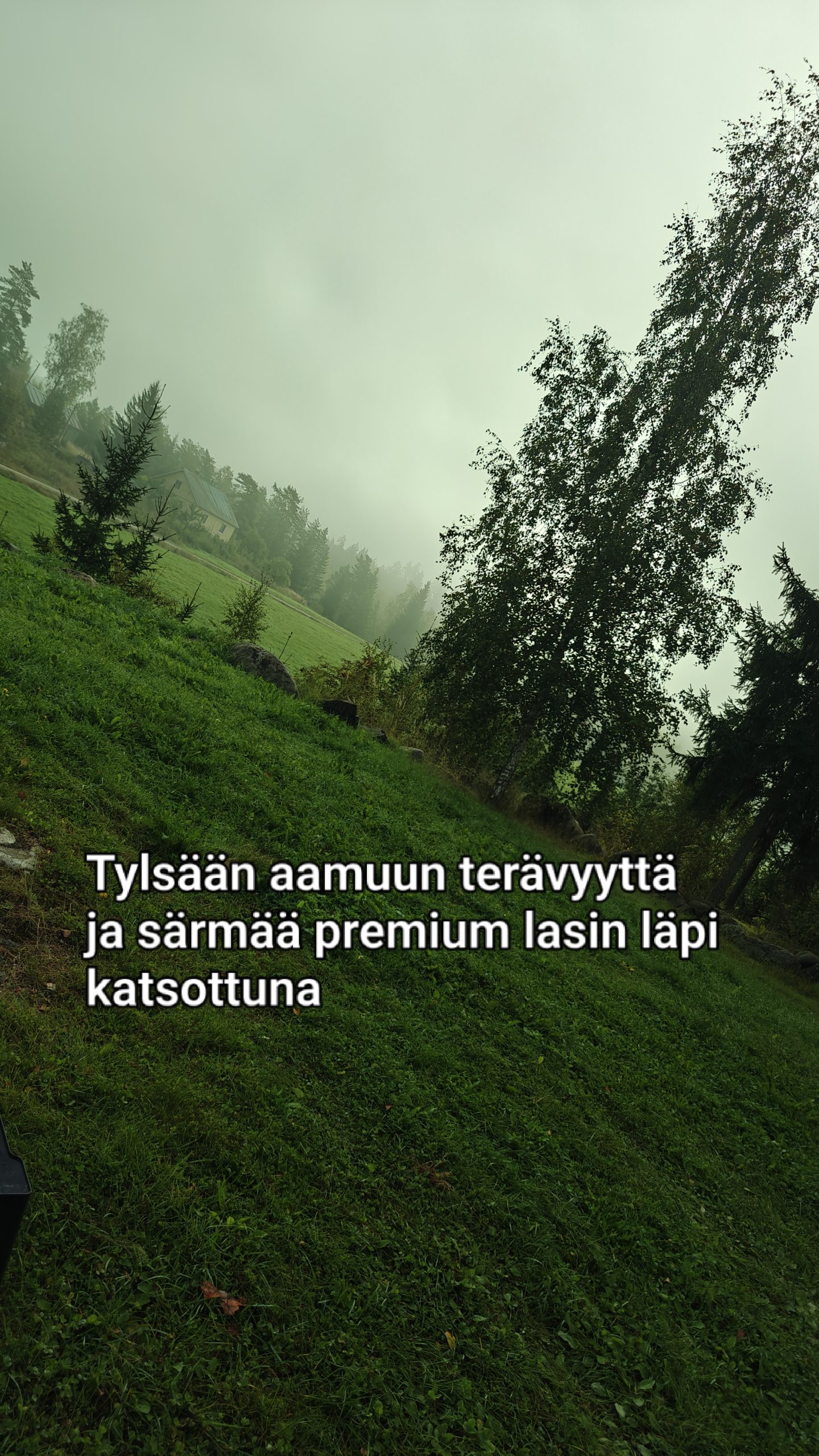 ÖKY KLASIT REALPEIJJOONI PYÖKKI - Image 7